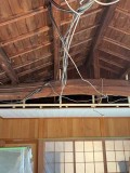 IMG_17